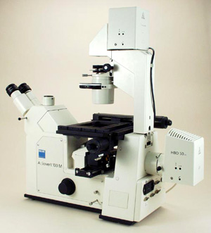 ZBI11