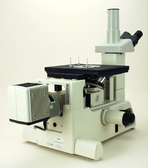 NMI1