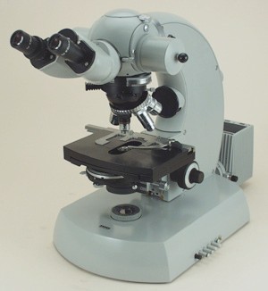 ZBU09