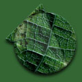 Back to the Vermont Optechs, Inc. Home Page...